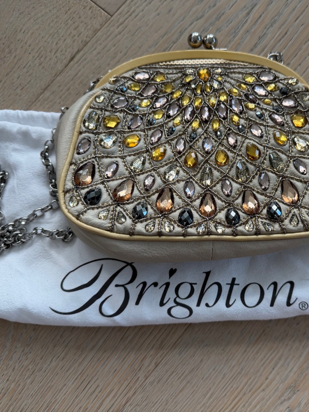 Brighton Purse